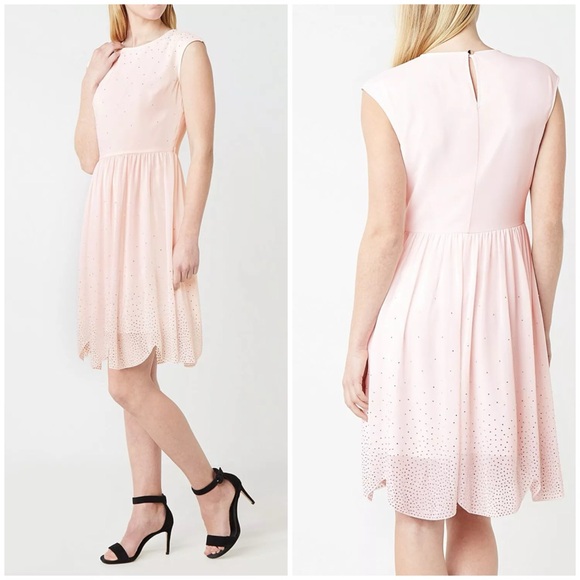 ted baker pink scallop dress Ted Baker London Pink Sharlot Mesh Paneled Scallop Fit Flare Dress Size US 10
